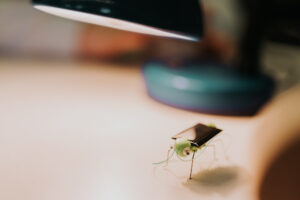 EnergieWorkshop1 Web 20