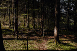 Vielfalter Fruehling 24 Web 104