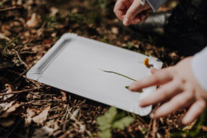 Vielfalter Fruehling 24 Web 111