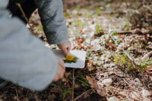 Vielfalter Fruehling 24 Web 112