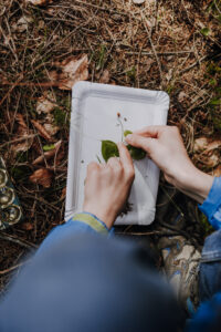 Vielfalter Fruehling 24 Web 114