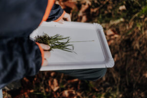 Vielfalter Fruehling 24 Web 115