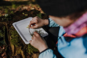 Vielfalter Fruehling 24 Web 118