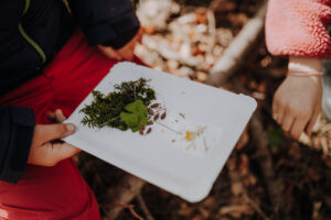 Vielfalter Fruehling 24 Web 121