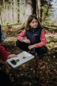 Vielfalter Fruehling 24 Web 123