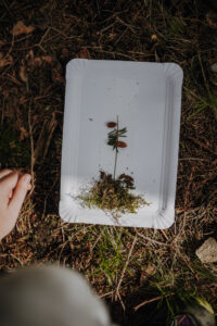 Vielfalter Fruehling 24 Web 124