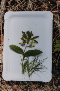 Vielfalter Fruehling 24 Web 129