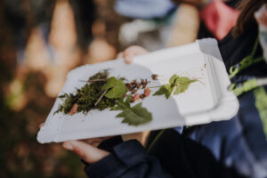 Vielfalter Fruehling 24 Web 137