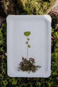 Vielfalter Fruehling 24 Web 141