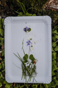 Vielfalter Fruehling 24 Web 142