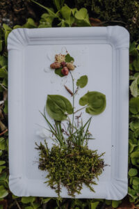 Vielfalter Fruehling 24 Web 143