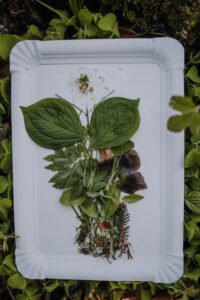 Vielfalter Fruehling 24 Web 144