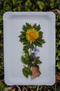 Vielfalter Fruehling 24 Web 148