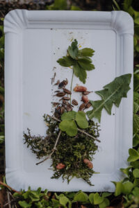 Vielfalter Fruehling 24 Web 149