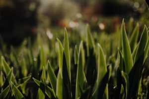 Vielfalter Fruehling 24 Web 18