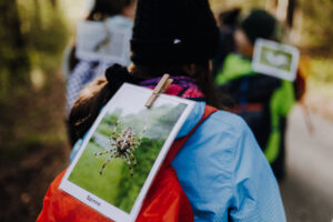 Vielfalter Fruehling 24 Web 29