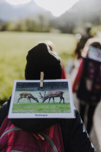 Vielfalter Fruehling 24 Web 33