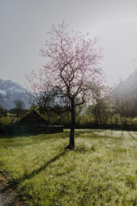 Vielfalter Fruehling 24 Web 35