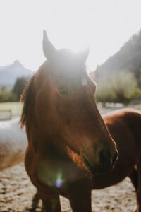 Vielfalter Fruehling 24 Web 39