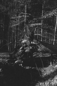 Vielfalter Fruehling 24 Web 48