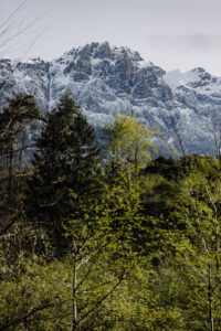 Vielfalter Fruehling 24 Web 71