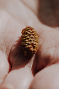 Vielfalter Fruehling 24 Web 83