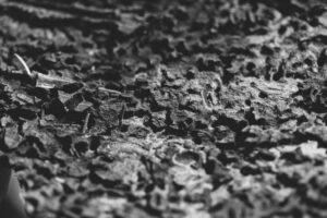 Vielfalter Fruehling 24 Web 84