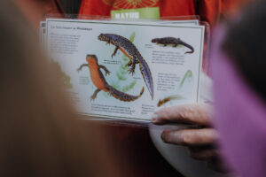 Vielfalter Fruehling 24 Web 87