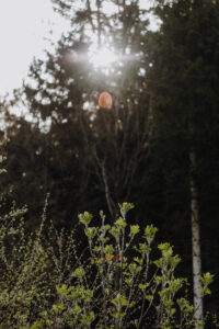 Vielfalter Fruehling 24 Web 92