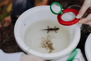 Vielfalter Fruehling 24 Web 97