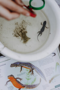 Vielfalter Fruehling 24 Web 98