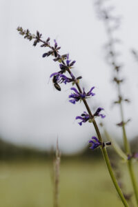 VielfalterSommer24 Web 107