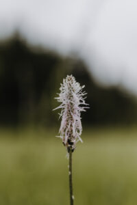 VielfalterSommer24 Web 108