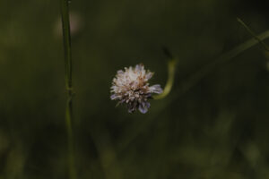 VielfalterSommer24 Web 113