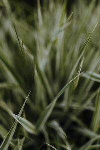 VielfalterSommer24 Web 16