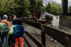 VielfalterSommer24 Web 21