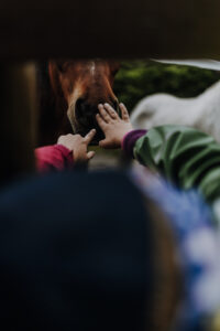 VielfalterSommer24 Web 24