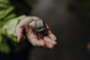 VielfalterSommer24 Web 25