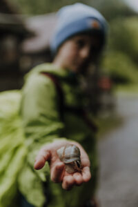 VielfalterSommer24 Web 26