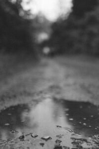 VielfalterSommer24 Web 29