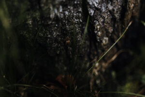 VielfalterSommer24 Web 31