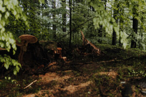 VielfalterSommer24 Web 33