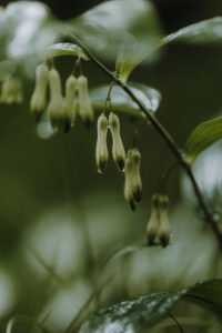 VielfalterSommer24 Web 35