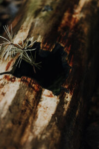 VielfalterSommer24 Web 38