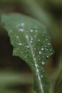 VielfalterSommer24 Web 41