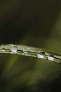 VielfalterSommer24 Web 52