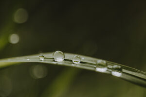 VielfalterSommer24 Web 53