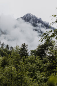 VielfalterSommer24 Web 65