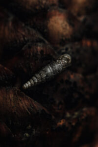 VielfalterSommer24 Web 75