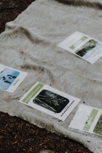 VielfalterSommer24 Web 93